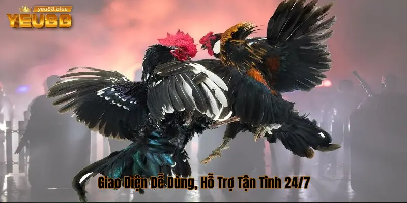 Giao diện đẹp mắt
